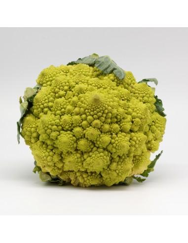 Chou romanesco